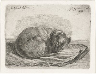 Uyuyan köpek, battaniyenin üzerinde yatıyor by Jacobus Cornelis Gaal