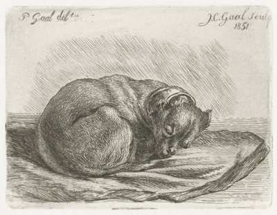 Uyuyan köpek, battaniyenin üzerinde yatıyor by Jacobus Cornelis Gaal