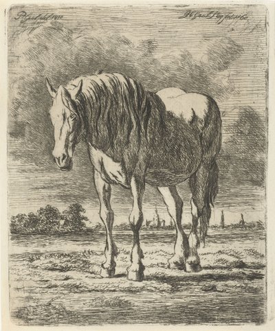 Beyaz at by Jacobus Cornelis Gaal