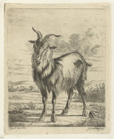 ayakta keçi by Jacobus Cornelis Gaal