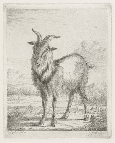 ayakta keçi by Jacobus Cornelis Gaal