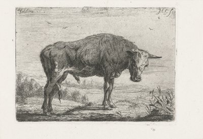 duran boğa by Jacobus Cornelis Gaal