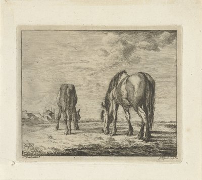 iki otlayan at by Jacobus Cornelis Gaal