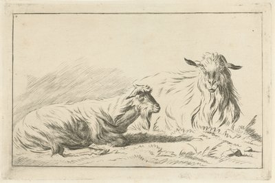 iki yalancı keçi by Jacobus Cornelis Gaal