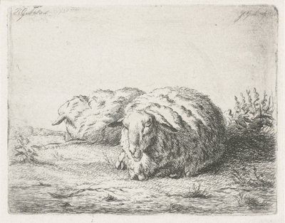 iki yalancı koyun by Jacobus Cornelis Gaal
