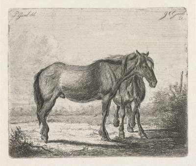 İki at by Jacobus Cornelis Gaal