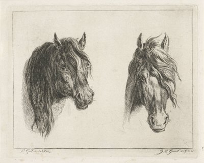 iki at başı by Jacobus Cornelis Gaal