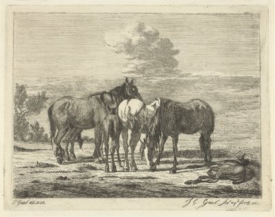 Dört at ve iki tay by Jacobus Cornelis Gaal