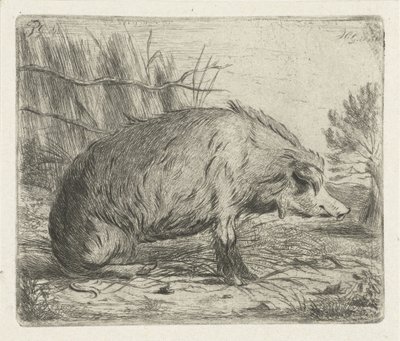 oturan yaban domuzu by Jacobus Cornelis Gaal
