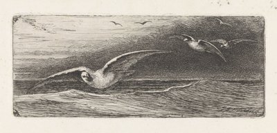 martılar by Jacobus Hermanus Otterbeek