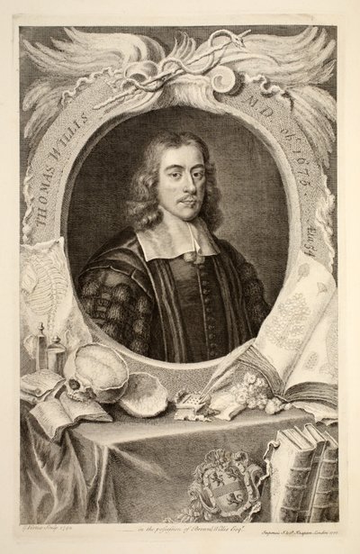 Thomas Willis