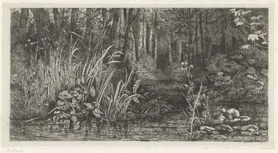 Bosbeekje by Jacobus Ludovicus Cornet