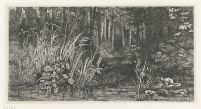 Bosbeekje by Jacobus Ludovicus Cornet