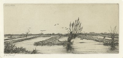 Veenplas by Jacobus Ludovicus Cornet