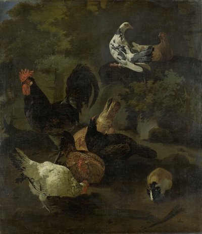 Bir horoz by Jacomo (1640-1705) Victors