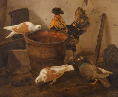  by Jacomo Victors