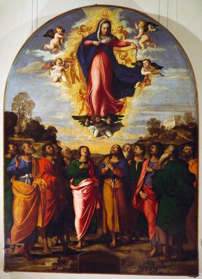Bakire Varsayımı by Jacopo (c.1480 1528) Palma