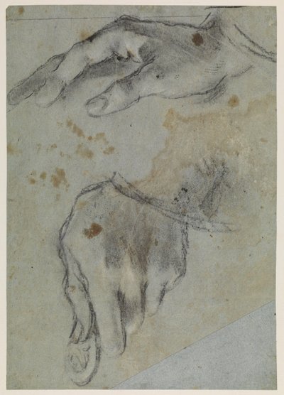 El çalışmaları, rekto, 16. yüzyıl by Jacopo Bassano