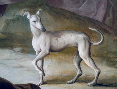 Köpek, Jacopo Guarana (1720-1808), Villa Contarini