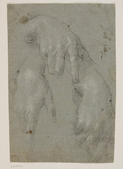 Sağ elin üç çalışması by Jacopo Palma