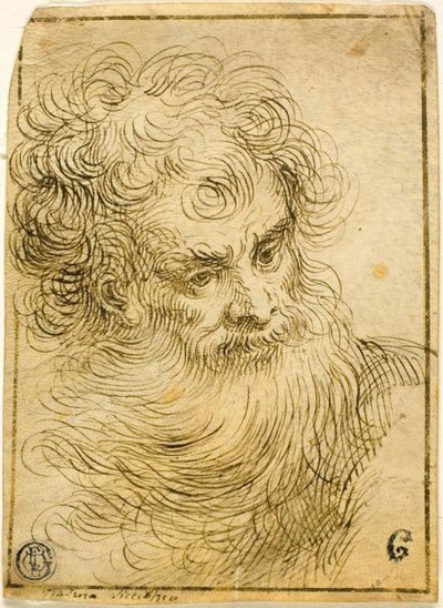 Sakallı Yaşlı Adamın Başı (rekto); Çiçek ve Yaprakların Dekoratif Çizimi (verso) by Jacopo Palma il Giovane