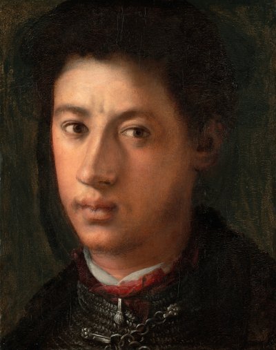 Alessandro de Medici, 153435. by Jacopo Pontormo