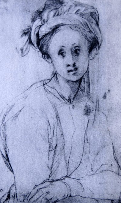  by Jacopo Pontormo