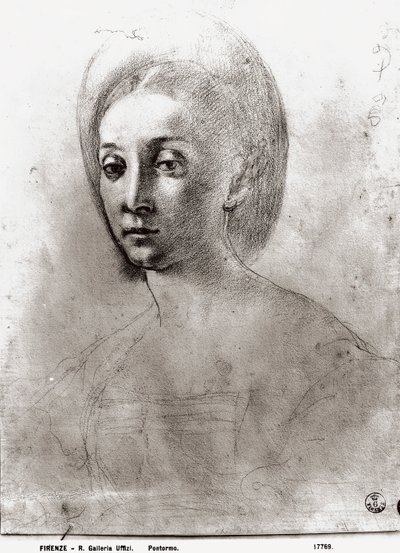 Bir Kadının Başı (kağıt üzerinde tebeşir) by Jacopo Pontormo
