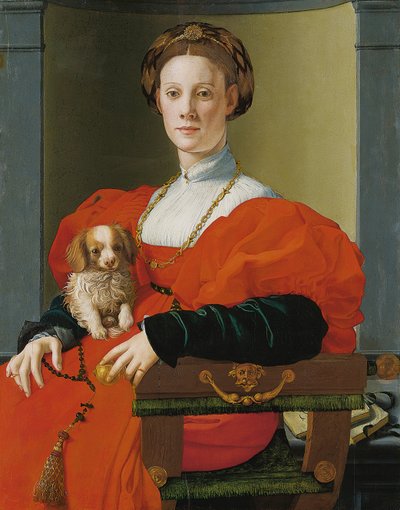 Küçük Köpekli Bir Kadının Portresi by Jacopo Pontormo