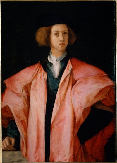 Genç bir adamın portresi muhtemelen Alessandro de Medicis - panelde yağ by Jacopo Pontormo