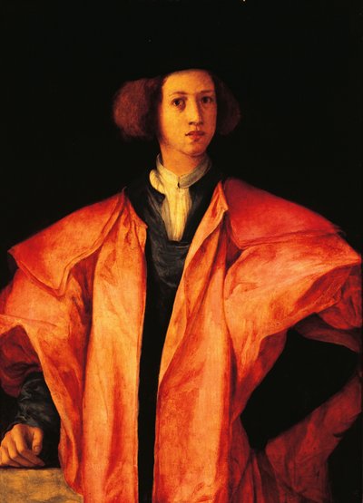 Genç adamın portresi, muhtemelen Amerigo Antinori, yaklaşık 1530, Jacopo Carucci, Pontormo (1494-1557) olarak bilinen, panel üzerine yağlı boya by Jacopo Pontormo