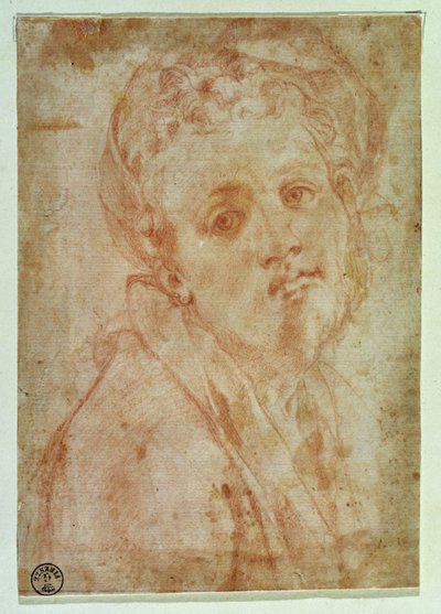Otoportre (kağıt üzerinde kırmızı tebeşir) by Jacopo Pontormo