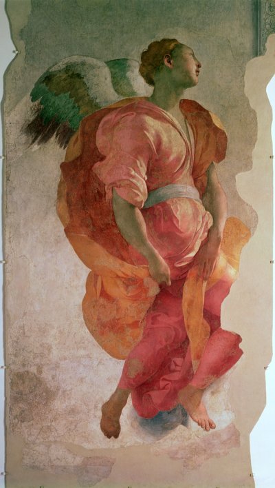 Müjde, bir meleğin detayı, c.1527 57520 fresk detayı, ayrıca bkz. 94965 by Jacopo Pontormo