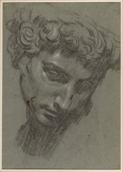 Michelangelo'dan sonra Giuliano de' Medici'nin portresi (rekto) (mavi kağıt üzerine siyah beyaz tebeşir) by Jacopo Robusti (workshop of) Tintoretto