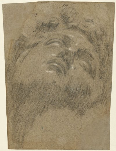 Giuliano dei Medici, Michelangelo