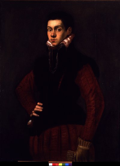 Genç bir adamın portresi, c.1565 (tuval üzerine yağlı boya) by Jacopo Robusti Tintoretto