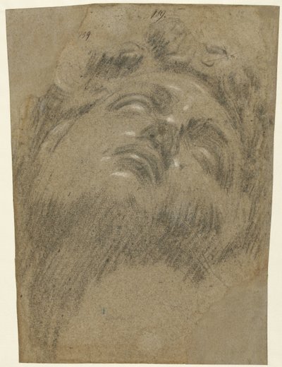 Giuliano dei Medici'nin Başkanı by Jacopo Tintoretto
