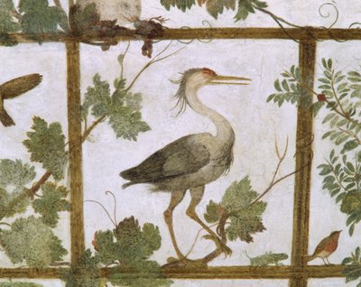 Ibis, Villa Medici