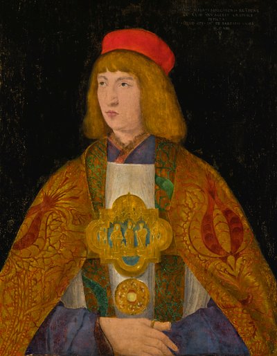  by Jacopo de