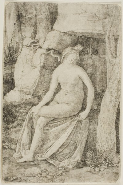  by Jacopo de