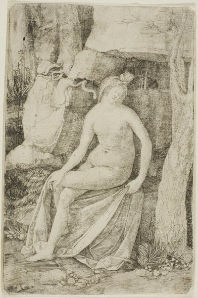  by Jacopo de