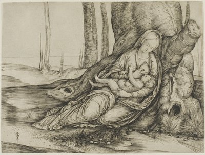  by Jacopo de