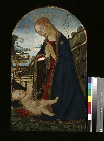 Madonna Çocuk İsa'yı Seviyor (ahşap üzerine yağlıboya) by Jacopo del Sellaio