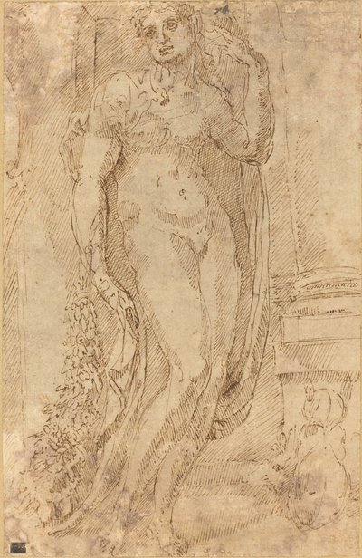 Bir Kedi ve Domuz ile Alegorik Figür by Jacopo di Giovanni
