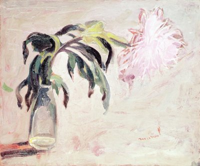 Şişede Krizantem (tuval üzerine yağlı boya) by Jacqueline Marval