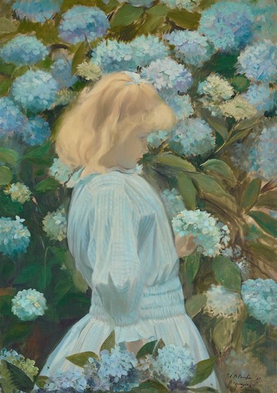 Hortensias