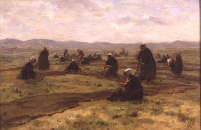 Ağ Tamiri (panelde yağ) by Jacques Abraham Zon