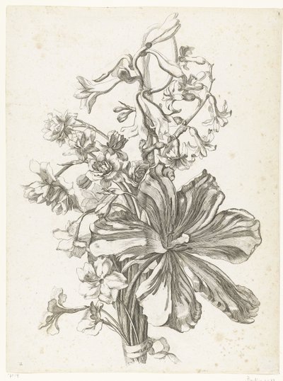 Lale, sümbül, brodiaea ve nergis ile buket Çeşitli Fleurs, Boucquets