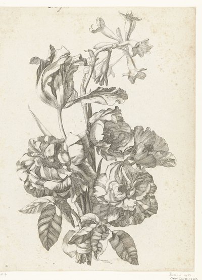 Şakayık, lale ve brodiaea ile buket Çeşitli Fleurs, Boucquets