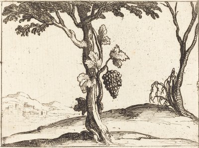Bir salkım üzüm by Jacques Callot